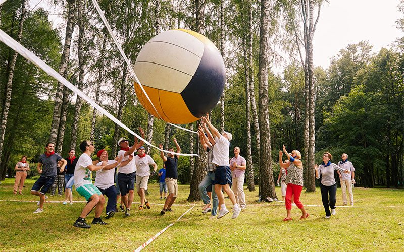 Компания участвует в командной игре с большим мячом на зелёной поляне