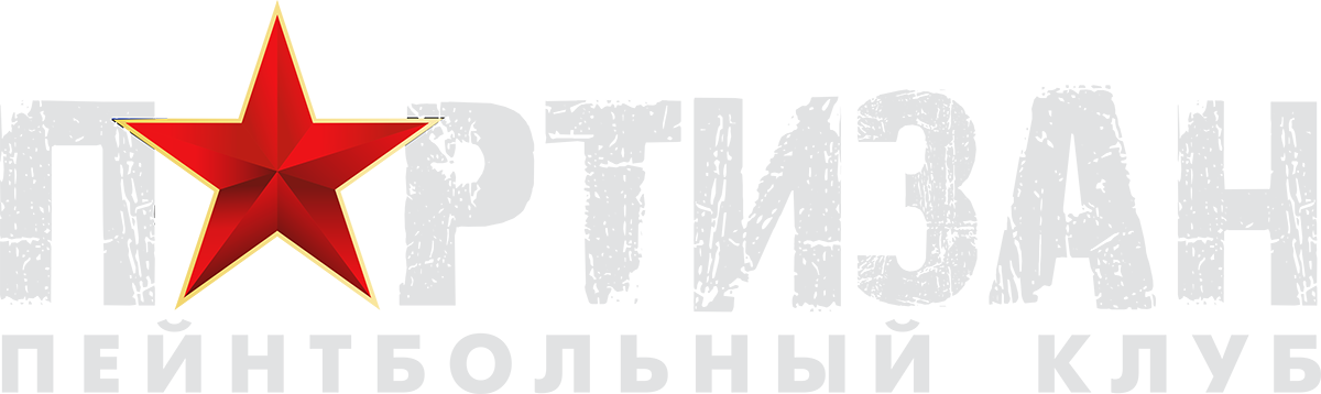 Партизан